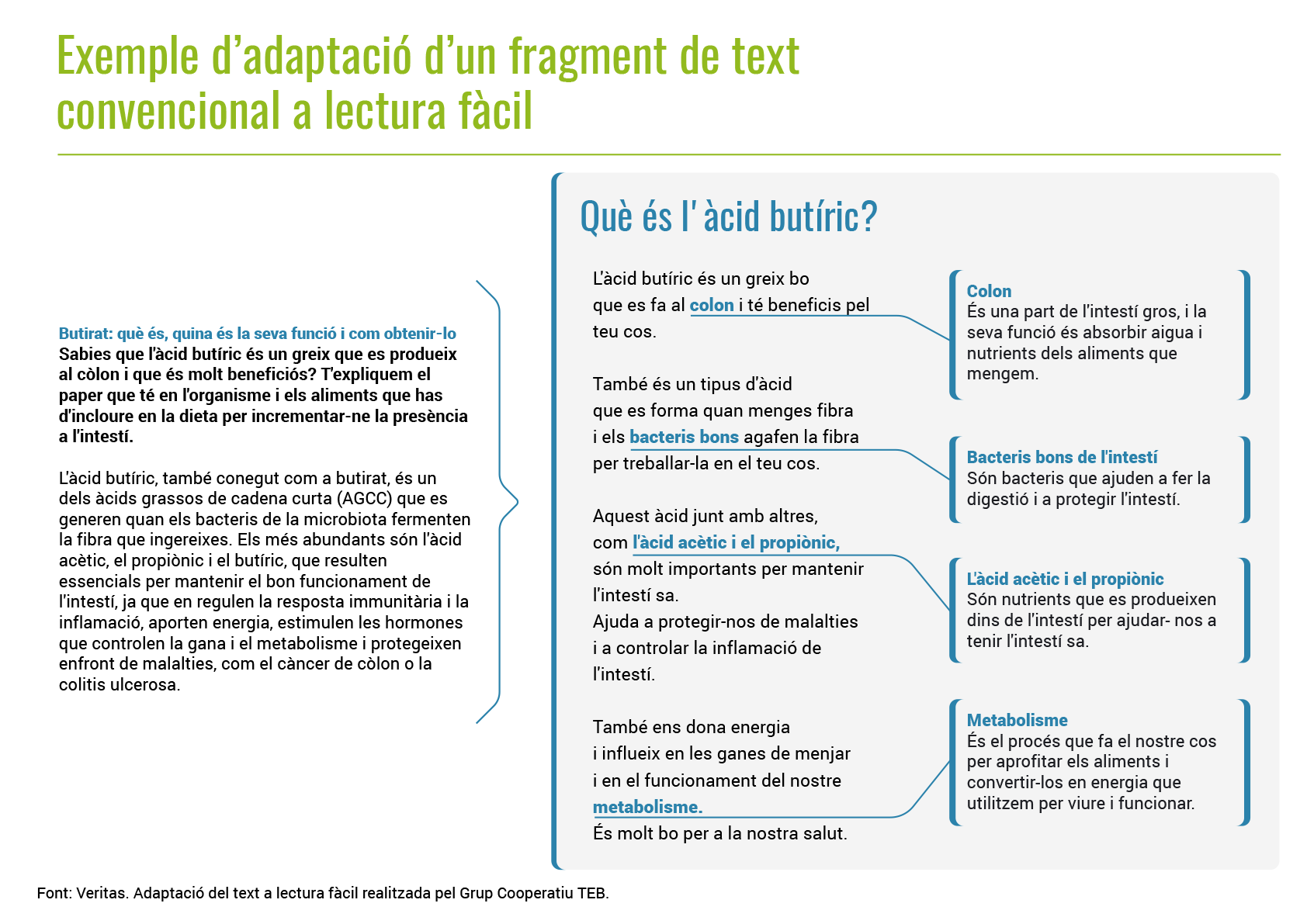 LECTURA FACIL CAT (2)